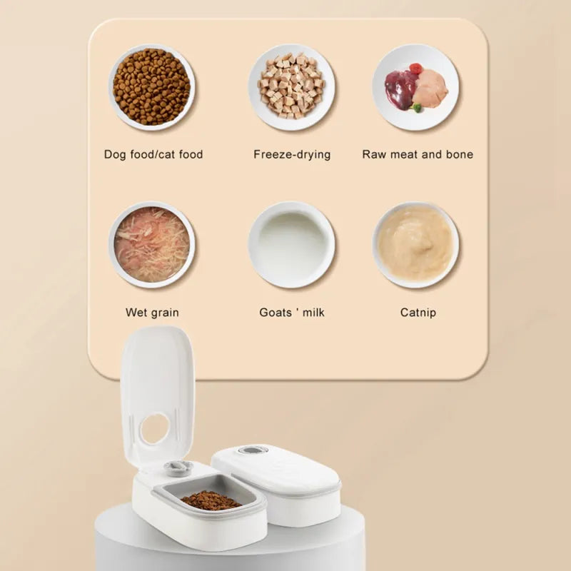 Smart Food Dispenser For Cats and Dogs