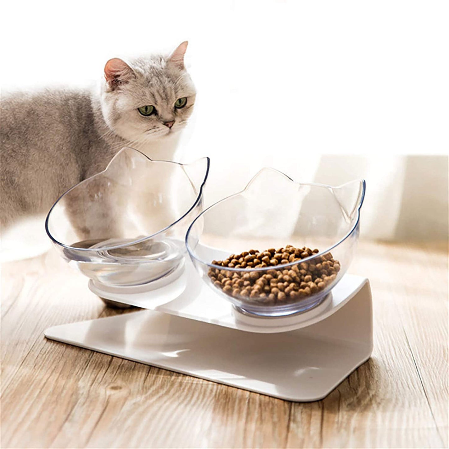 Non Slip Cat Bowl With Raised Stand