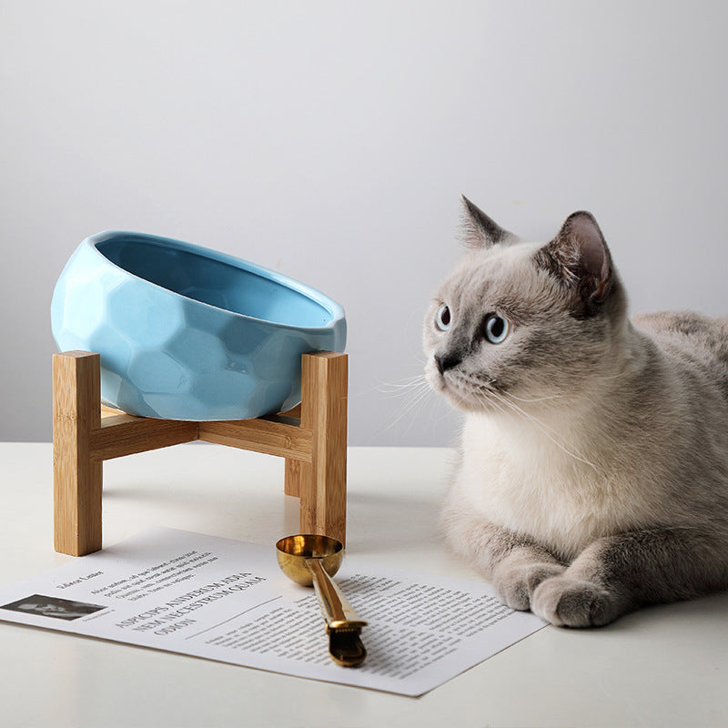 Pet Bowl Oblique Mouth