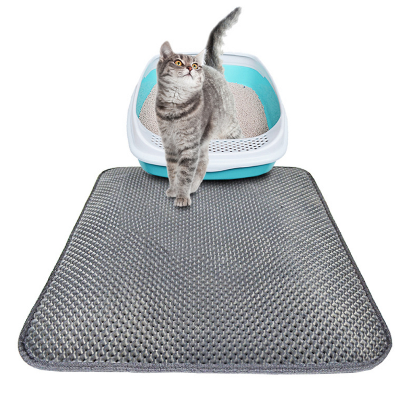 Cat Litter Mat