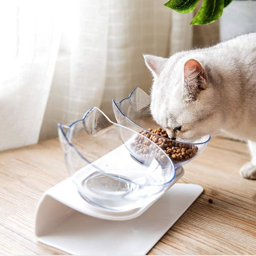 Non Slip Cat Bowl With Raised Stand