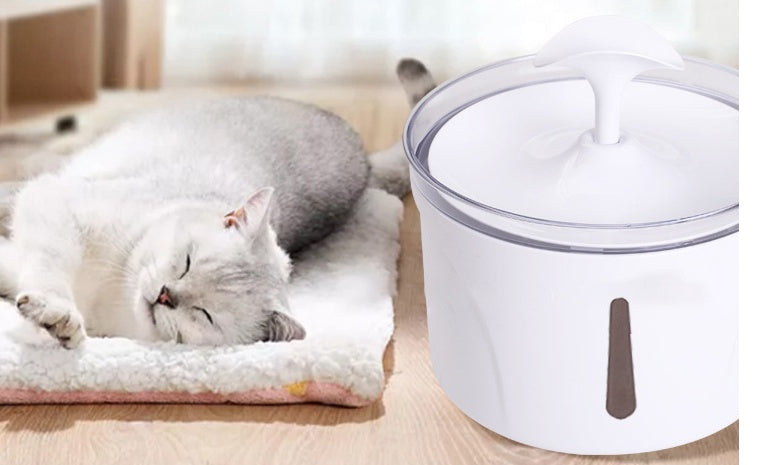 Water Dispenser For Pets