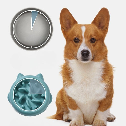 Pets Anti Choking Slow Feeder Dish Bowl