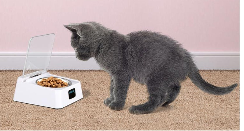 5G Automatic Pet Feeder