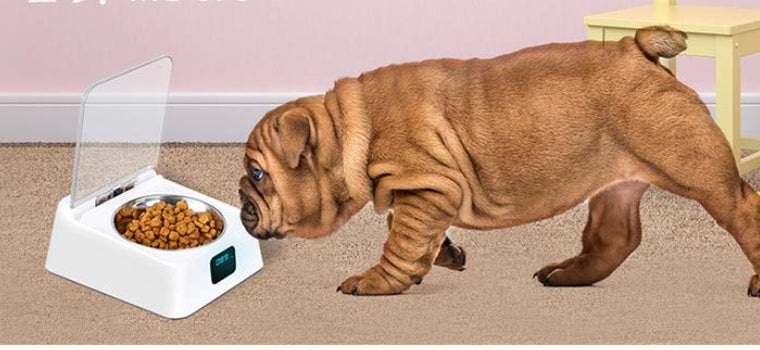 5G Automatic Pet Feeder