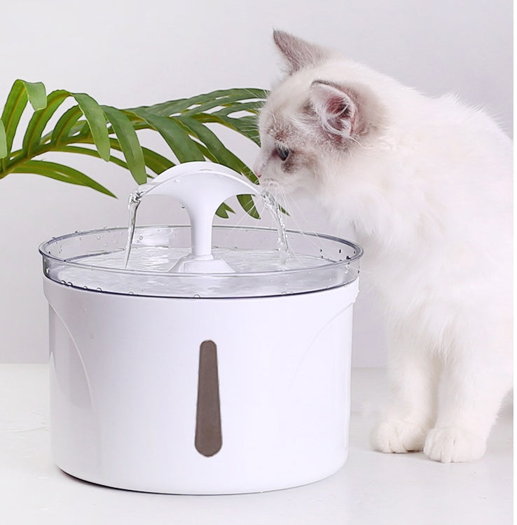 Water Dispenser For Pets