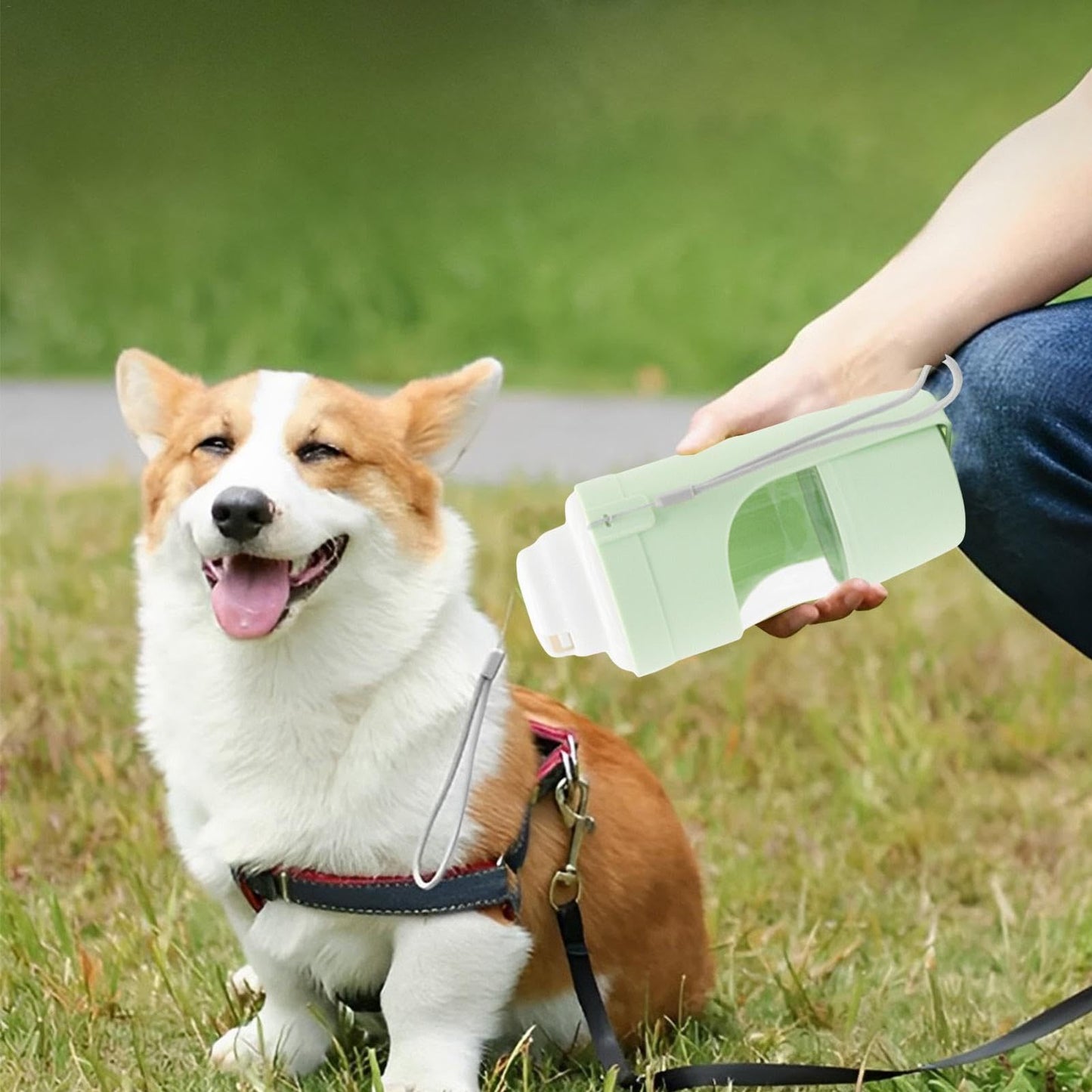 2 In 1 Travel Water Dispenser & Feeder For Pets