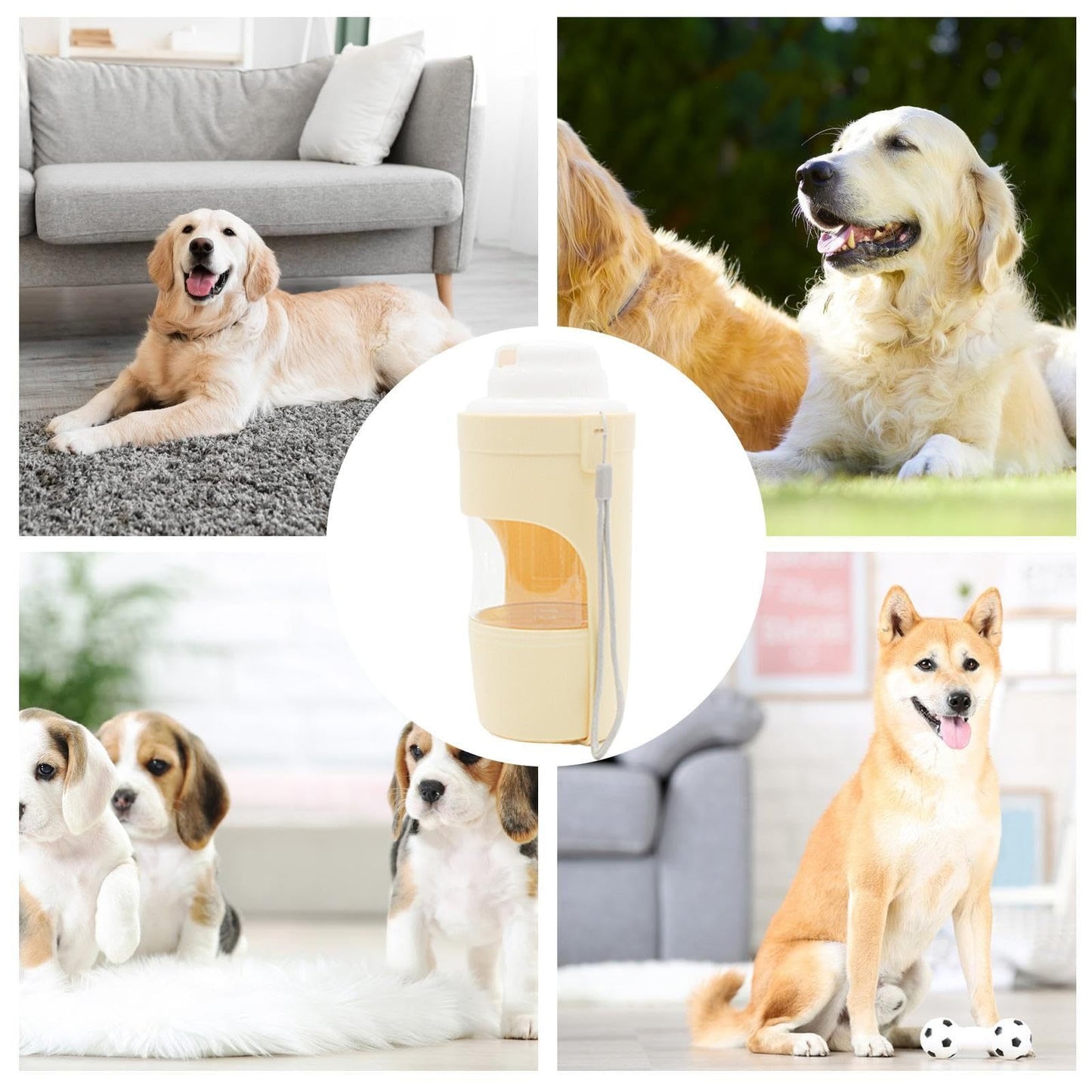 2 In 1 Travel Water Dispenser & Feeder For Pets
