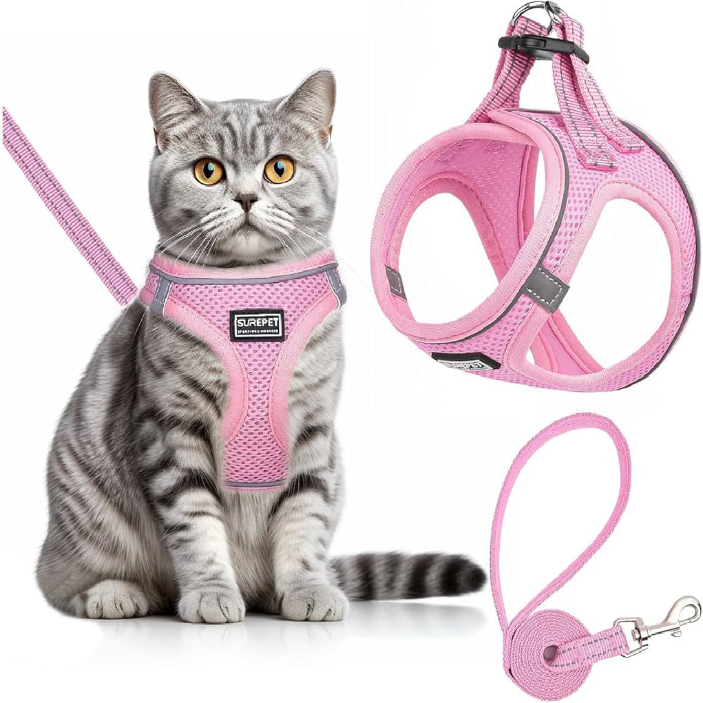 Cat Collars, Harnesses & Accessories