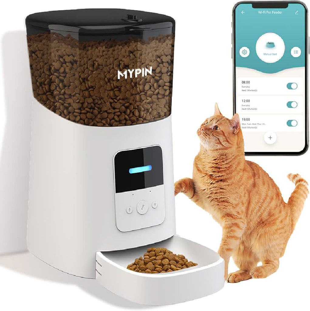 Cat Drinking & Feeding