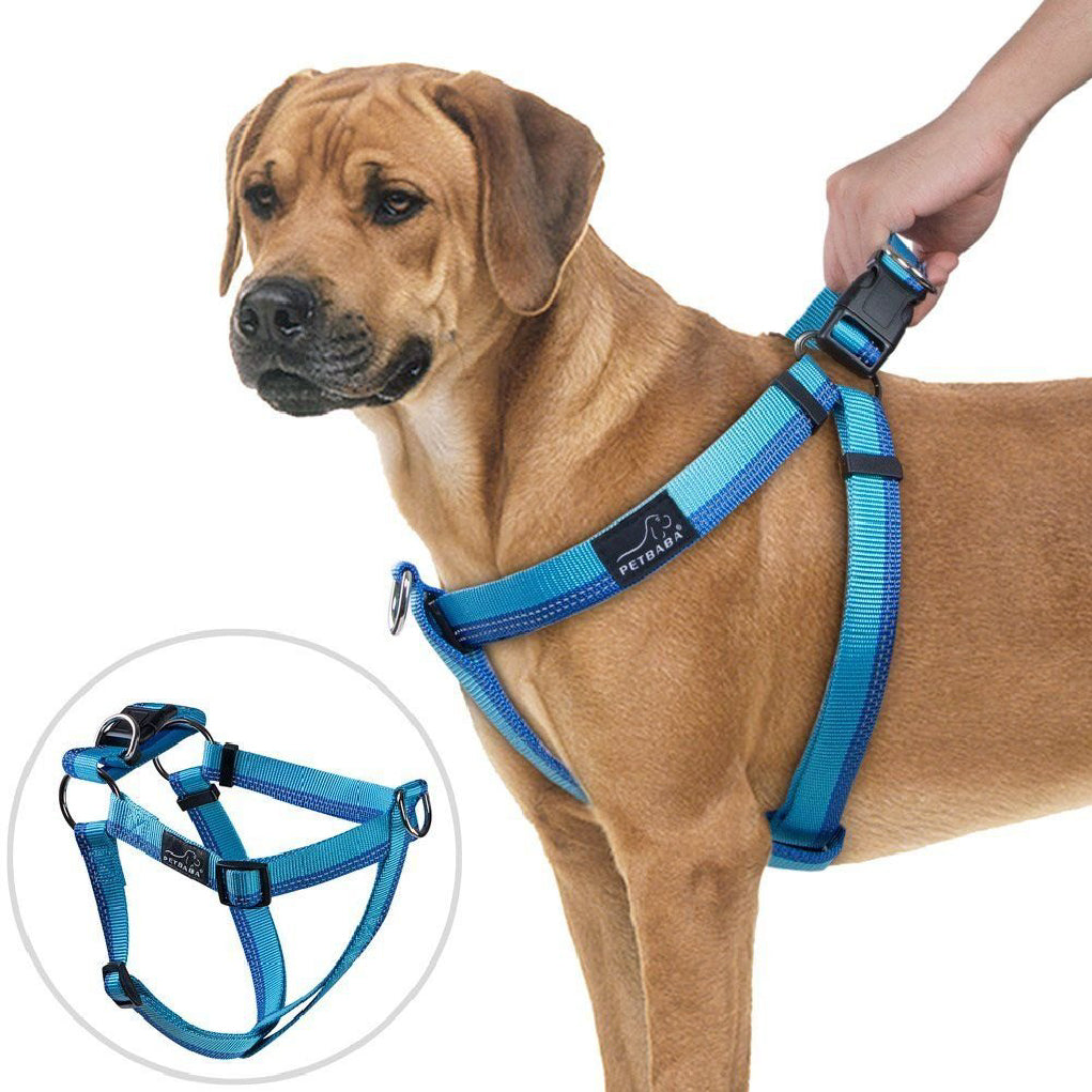 Dog Collars Harnesses & Accessories