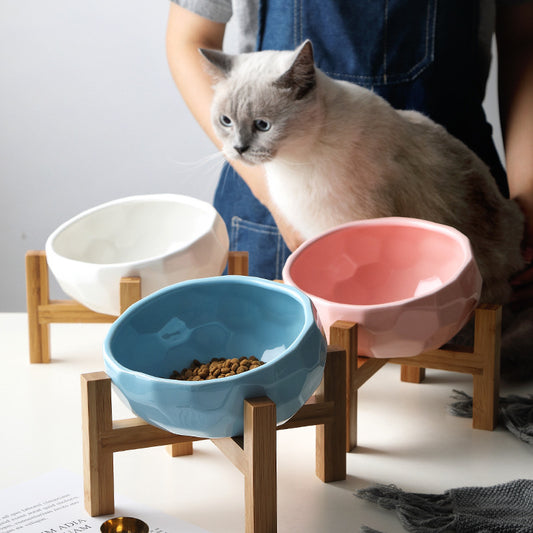 Pet Bowl Oblique Mouth