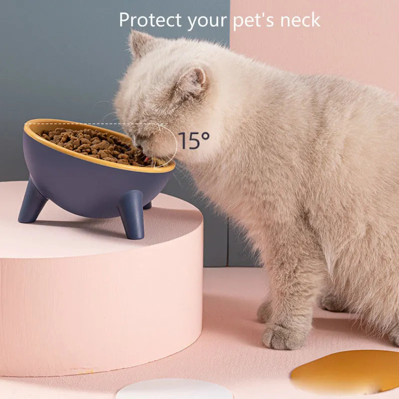 Dog Feeding Food Bowls