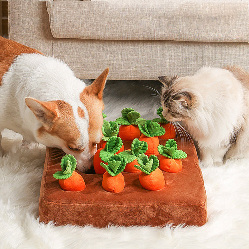 Carrot Plush Chew Toy for Dogs & Cats