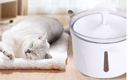 Water Dispenser For Pets