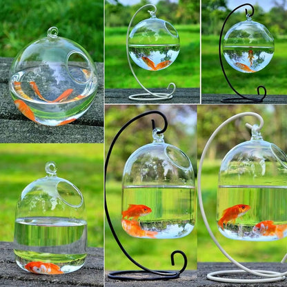 Hanging Glass Fish Bowl – Round/Rectangle Vase