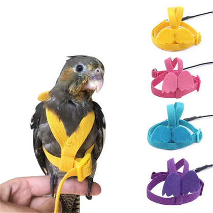 2M Soft Parrot Flying Training Rope – Adjustable Harness