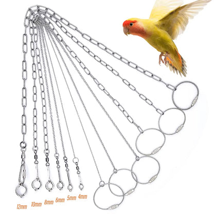 Stainless Steel Bird Foot Chain – Training Ankle Ring