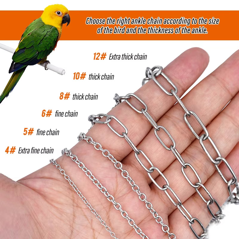 Stainless Steel Bird Foot Chain – Training Ankle Ring