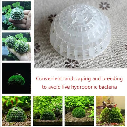 2PCS Aquarium Moss Ball Holder – DIY Plant Decor