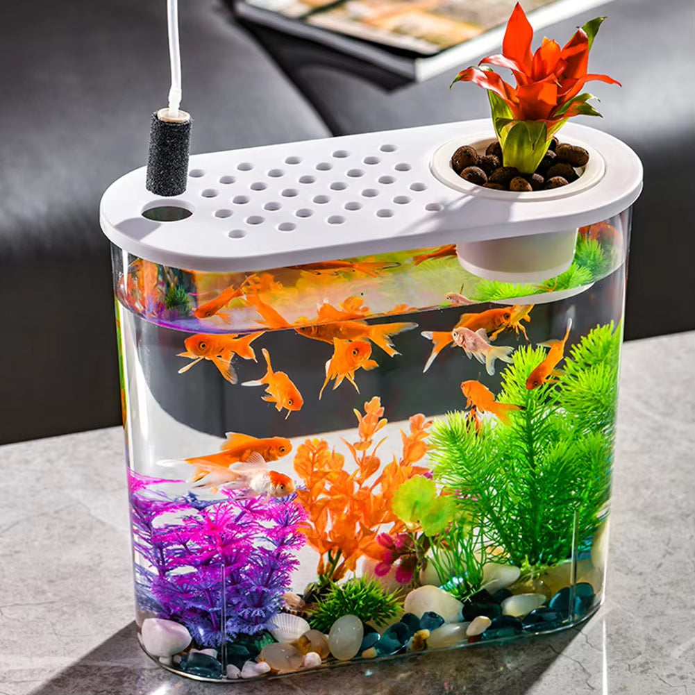 Clear Plastic Tabletop Fish Bowl – Aquaponic Design