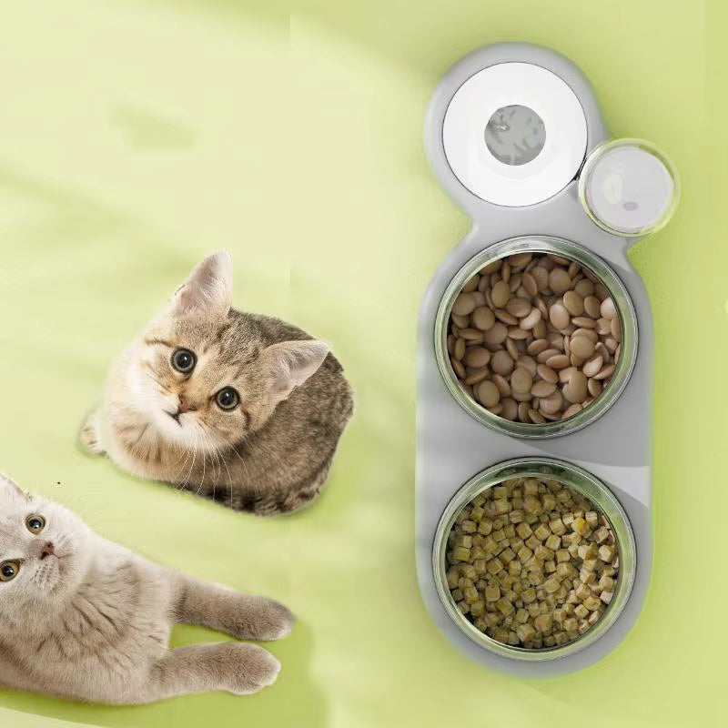 Cat Double Bowl Feeder with Water Dispenser & Stand