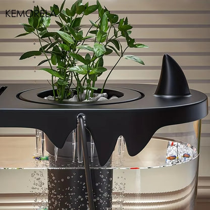 KEMORELA Small Desktop Fish Tank – HD & Filter-Free