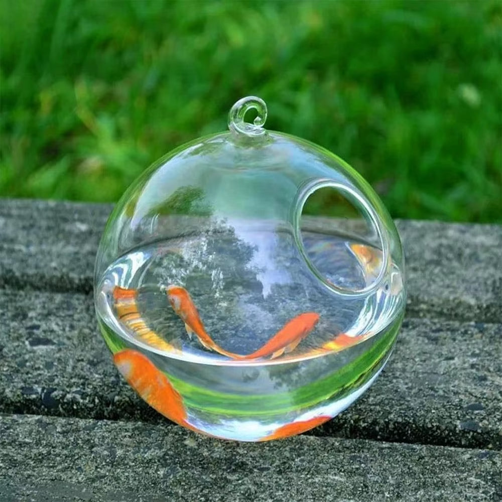 Hanging Glass Fish Bowl – Round/Rectangle Vase