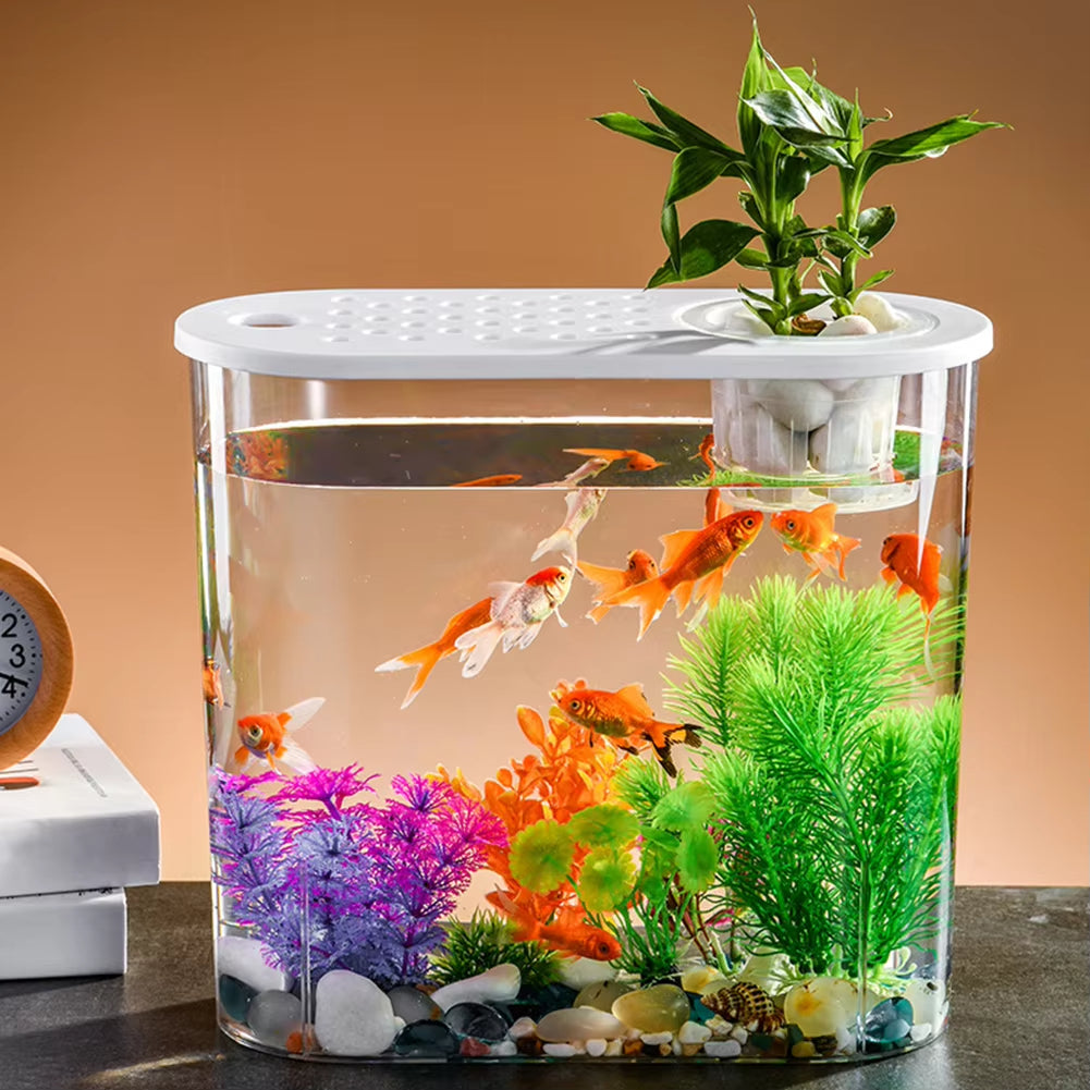 Clear Plastic Tabletop Fish Bowl – Aquaponic Design