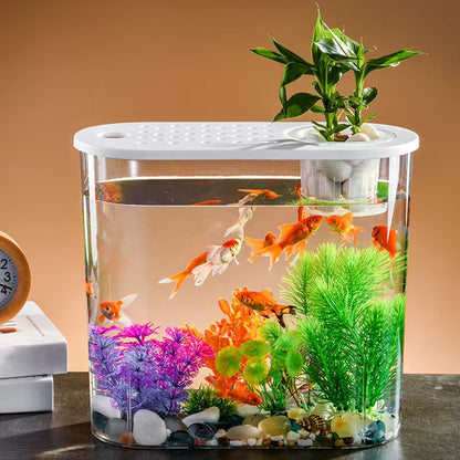 Clear Plastic Tabletop Fish Bowl – Aquaponic Design