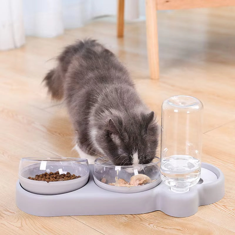 Cat Double Bowl Feeder with Water Dispenser & Stand