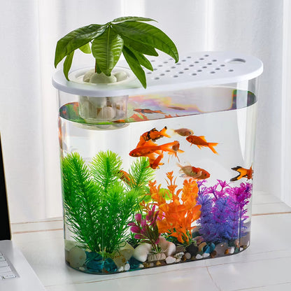 Clear Plastic Tabletop Fish Bowl – Aquaponic Design