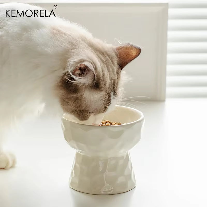 Gradient Ceramic Cat Bowl – Raised & Tilted Design