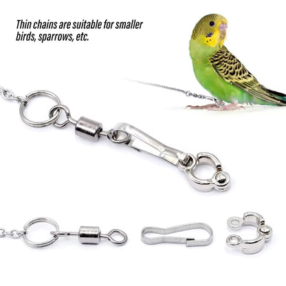 Stainless Steel Bird Foot Chain – Training Ankle Ring