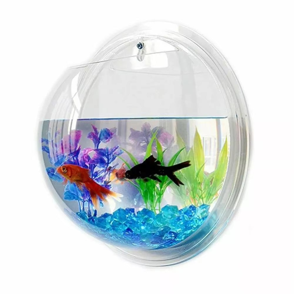 Wall-Mounted Acrylic Fish Tank – Hydroponic Vase