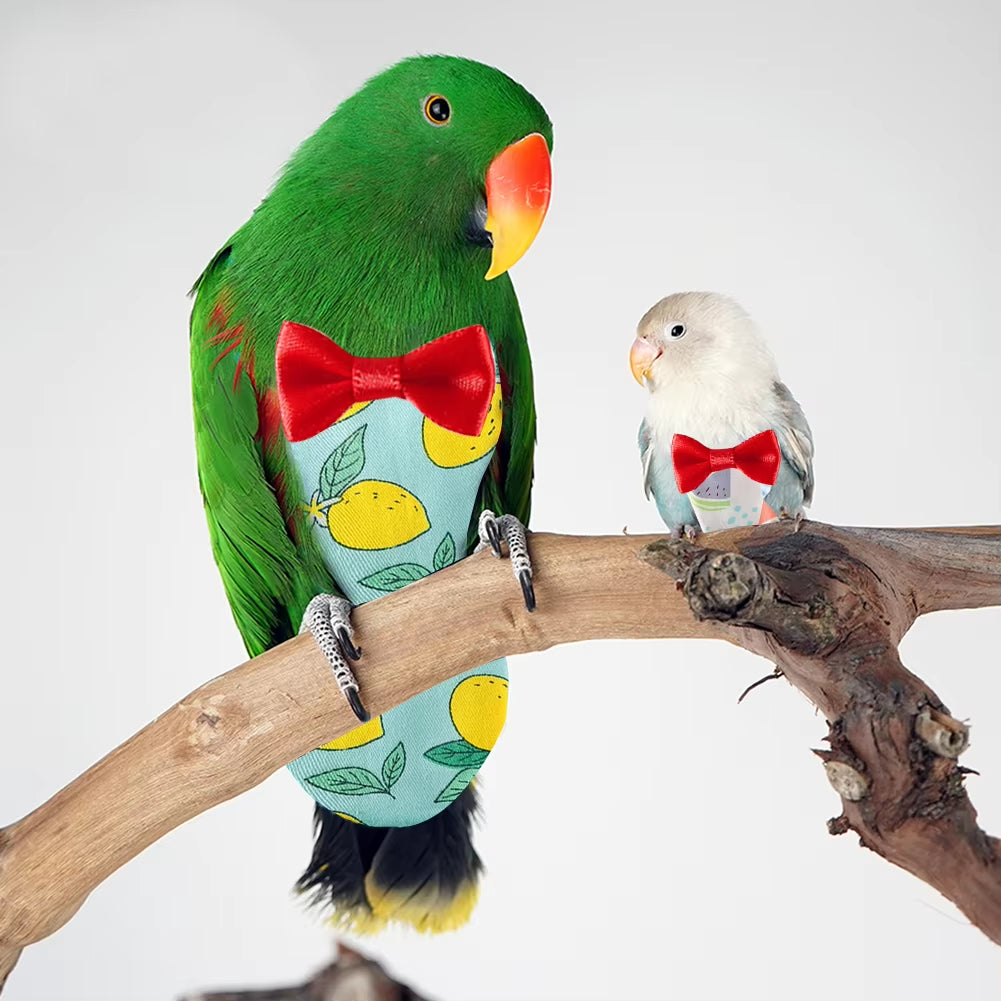 Parrot Diaper with Bowtie – Cute & Washable Bird Suit