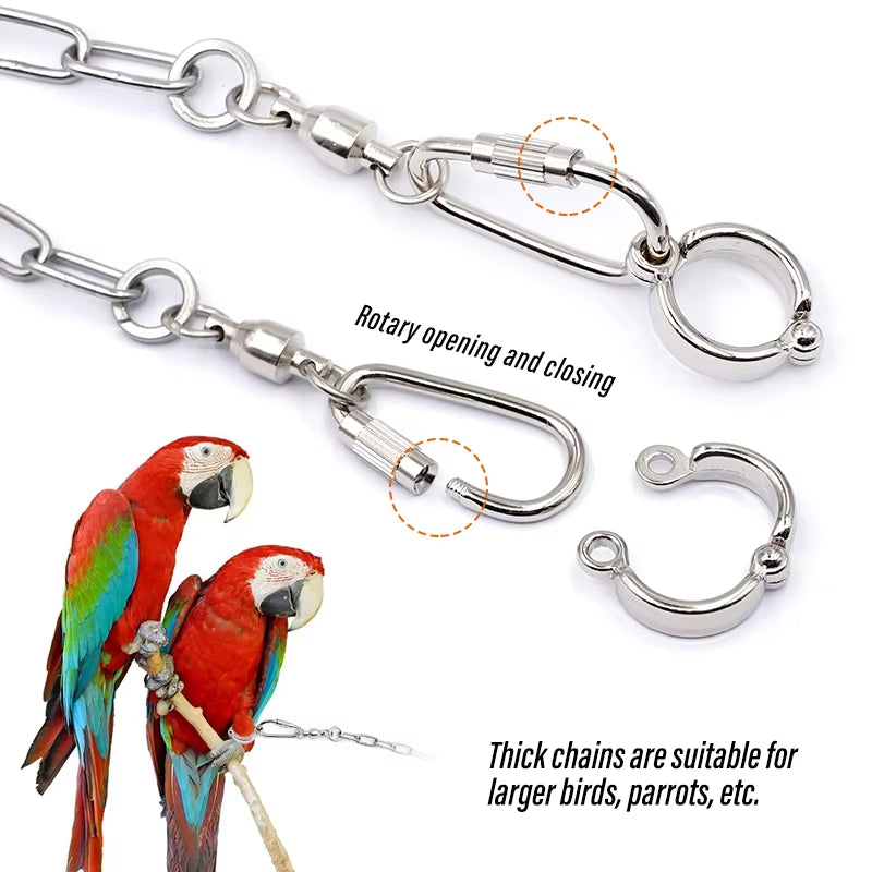 Stainless Steel Bird Foot Chain – Training Ankle Ring