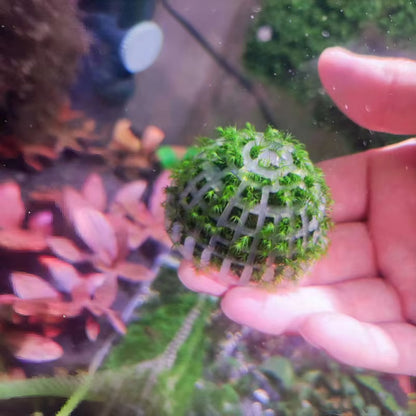 2PCS Aquarium Moss Ball Holder – DIY Plant Decor