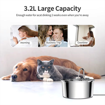 Stainless Steel Pet Water Feeder – Automatic Fountain