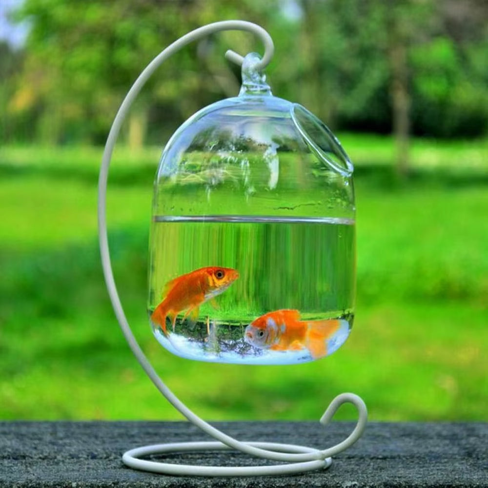 Hanging Glass Fish Bowl – Round/Rectangle Vase