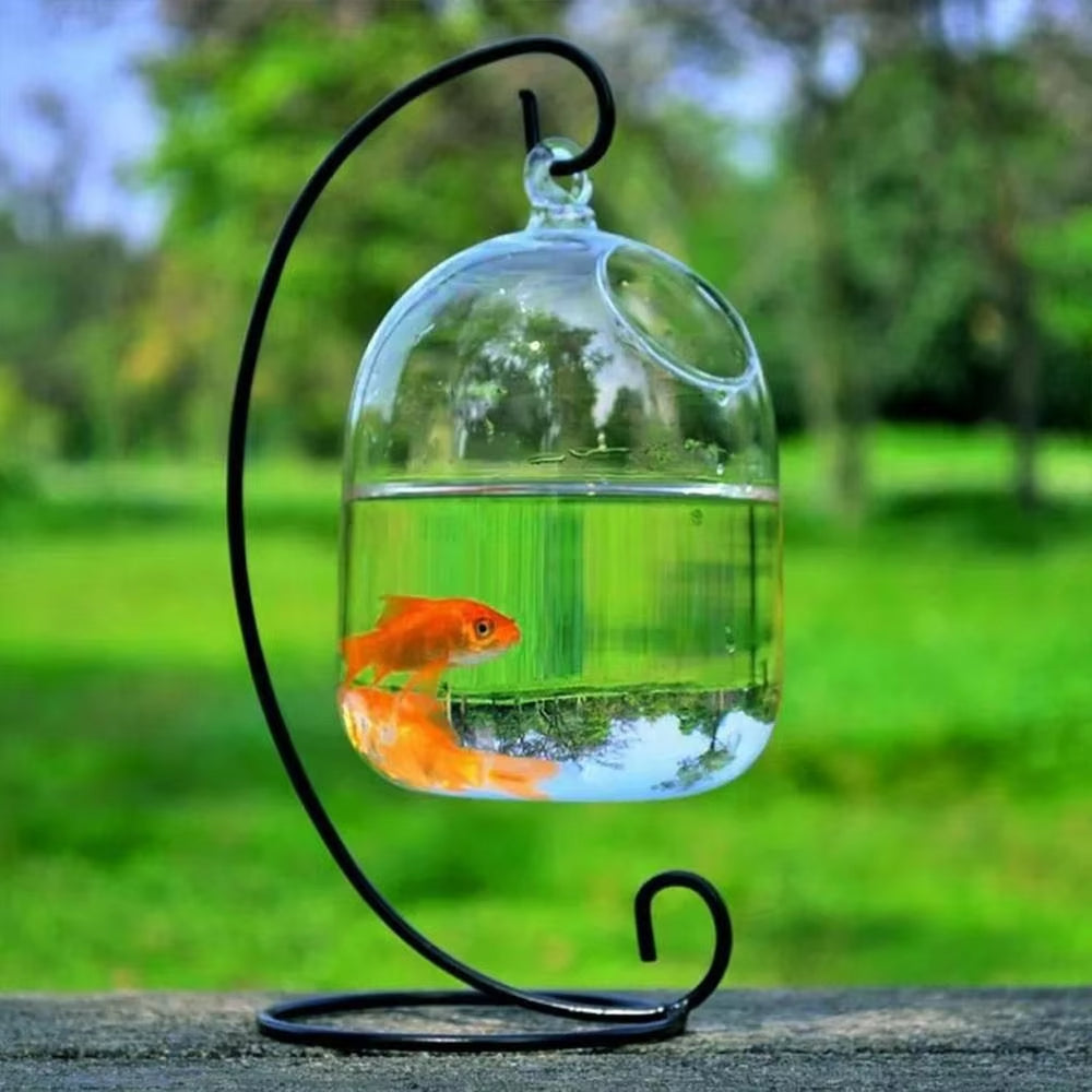 Hanging Glass Fish Bowl – Round/Rectangle Vase