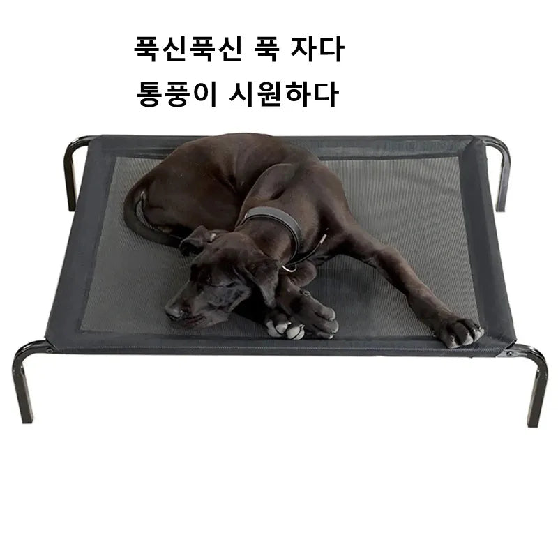 Folding Elevated Dog Bed Breathable Indoor/Outdoor for All Sizes