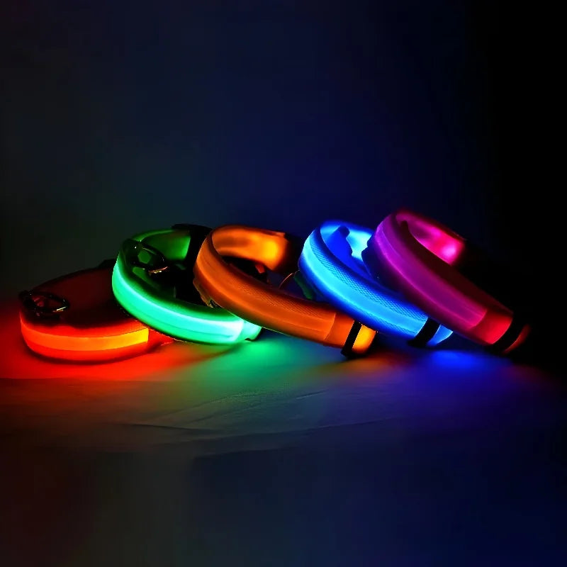 LED Dog Collar Glow-in-the-Dark Nylon Safety Leash