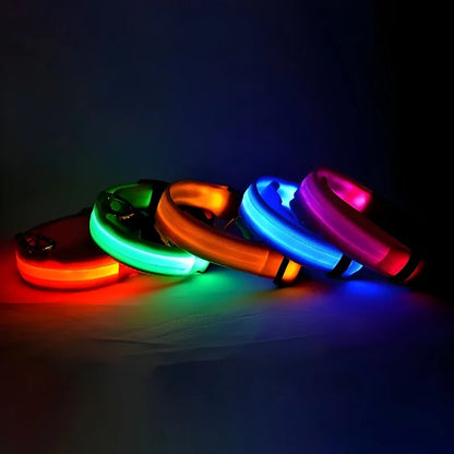 LED Dog Collar Glow-in-the-Dark Nylon Safety Leash