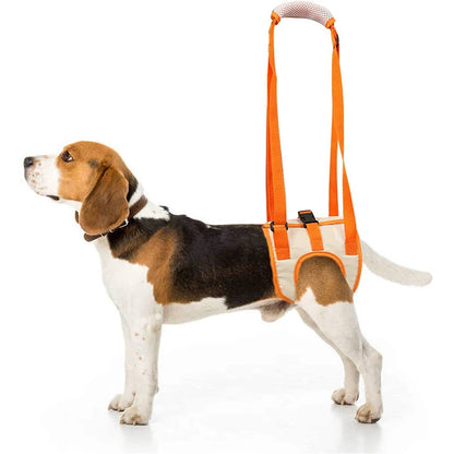 Adjustable Dog Sling Back Legs Support Harness for Rehabilitation