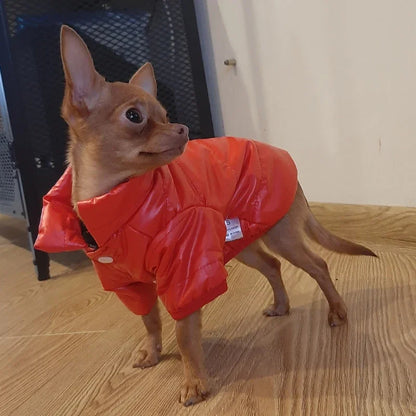 Waterproof Winter Dog Jacket for Small Breeds