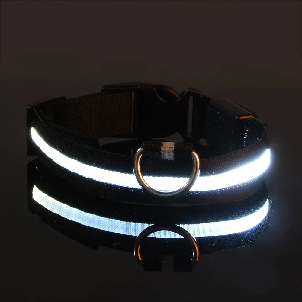 LED Dog Collar Glow-in-the-Dark Nylon Safety Leash