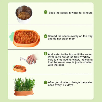 Soilless Cat Grass Kit Hydroponic Carrot Planter