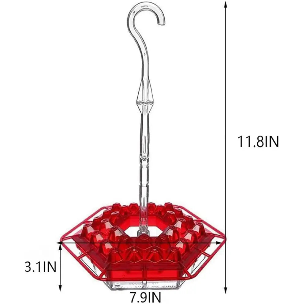 Hanging Hummingbird Feeder with Perch & Ant Moat