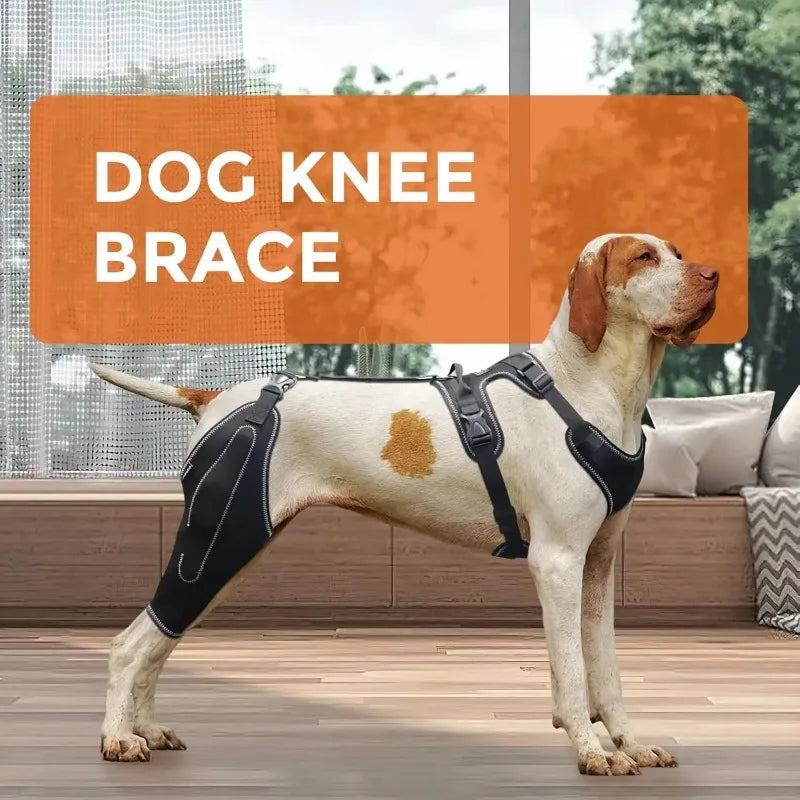 Dog ACL Knee Brace for Joint Support & Recovery